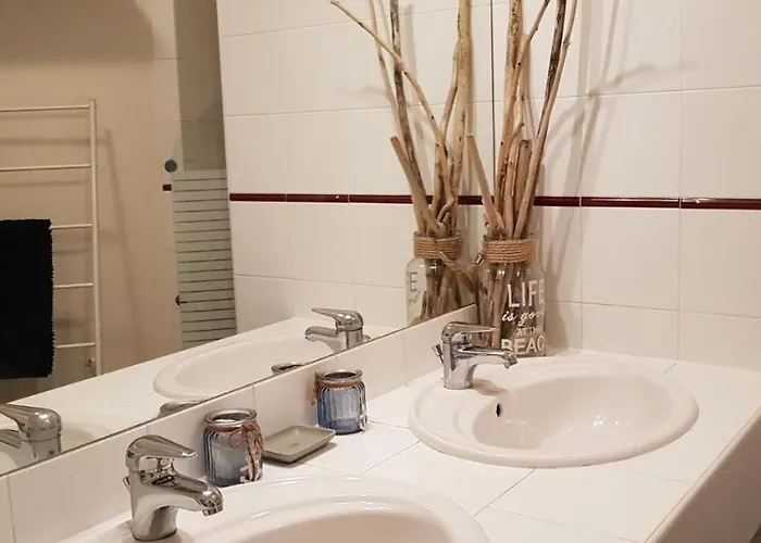 فيلة Kikine بيسكاروس