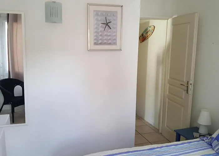 فيلة Kikine بيسكاروس