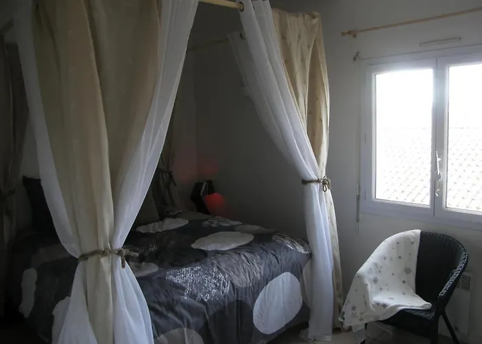 فيلة Kikine بيسكاروس